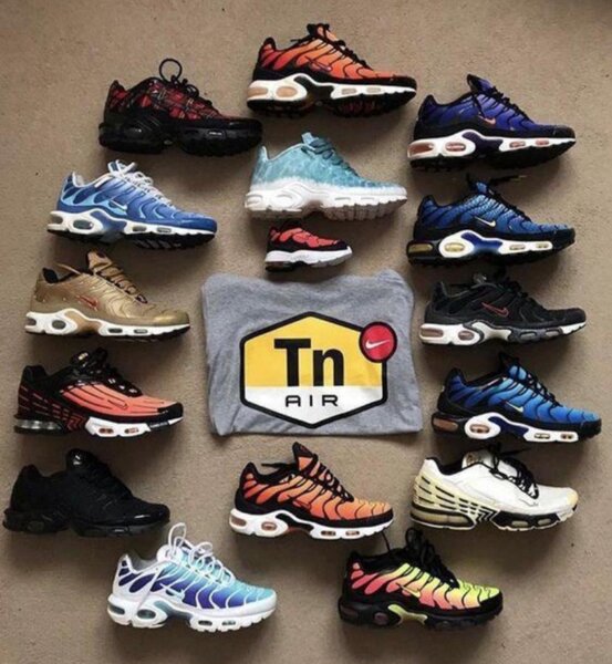 Basket Nike TN Air Colorées