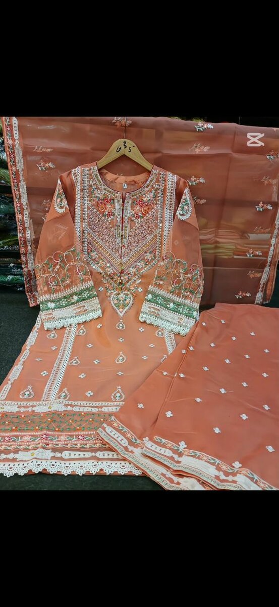 Organza fancy 3 pc suit