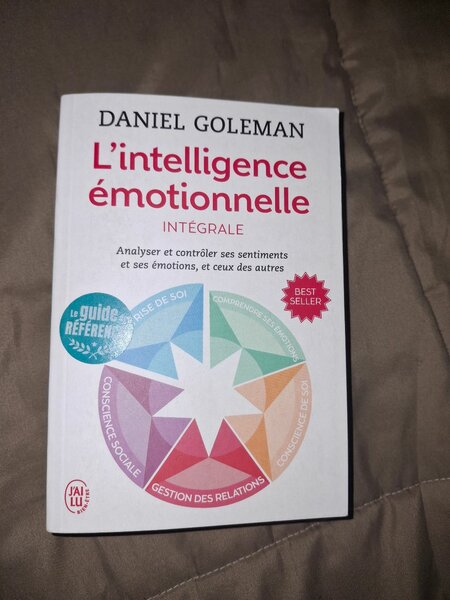 L intelligence émotionnelle