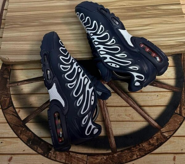 Baskets Air Max Sport Unisex