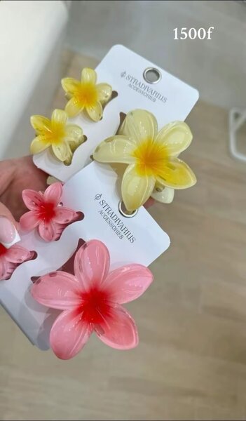 Bracelets élégants et colorés