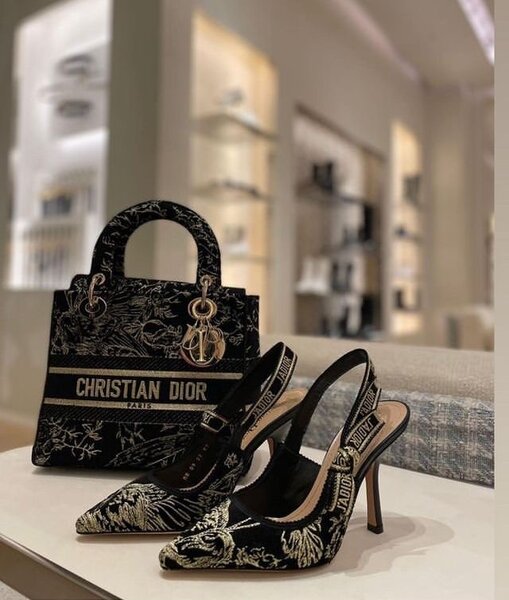 Ladies bag and dress shoe