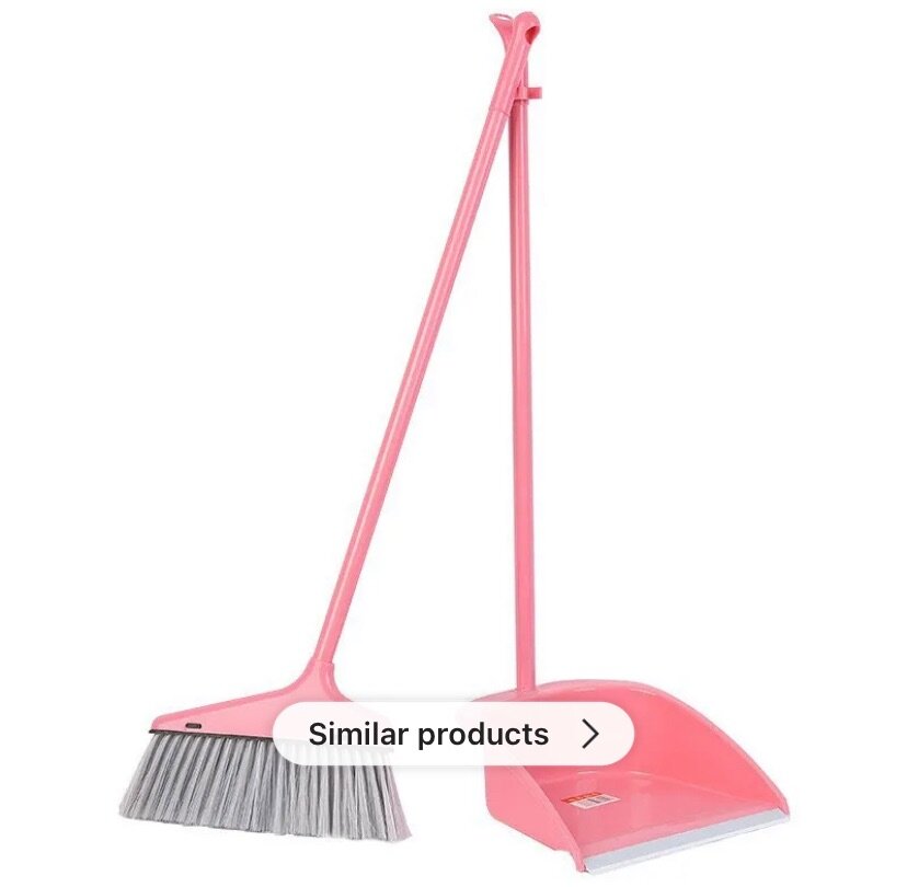 Brush broom and Collector