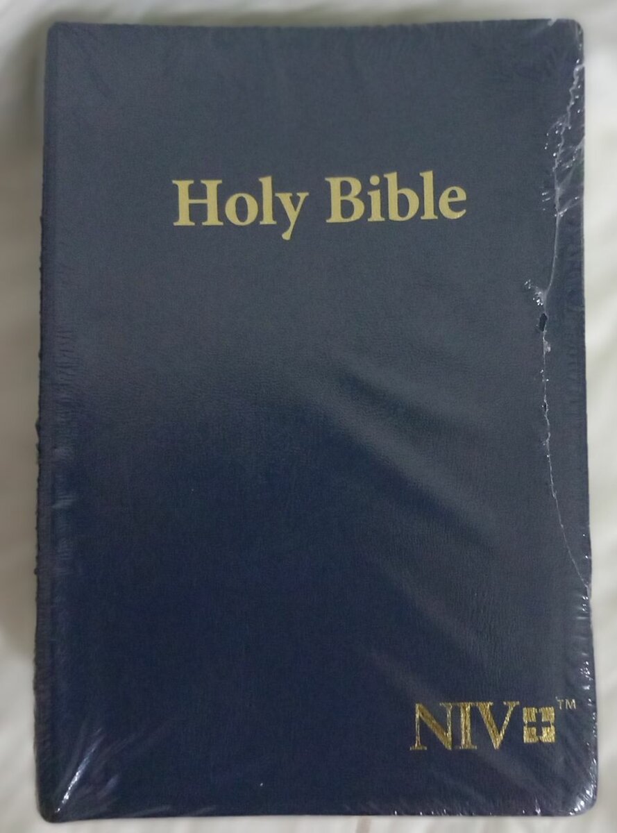 HOLY BIBLE (NIV)