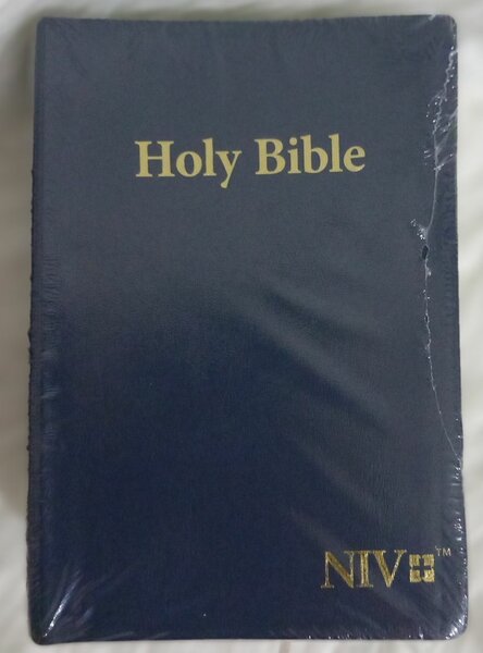HOLY BIBLE (NIV)