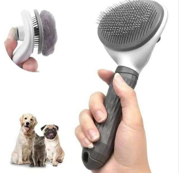 Éponge de de chiens et chats