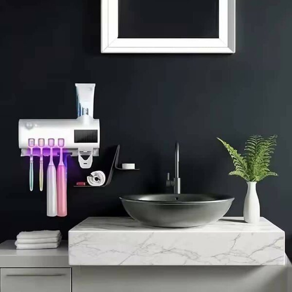 Porte-brosse à dents mural, lu