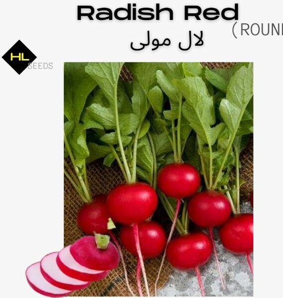 Radish Red – Round