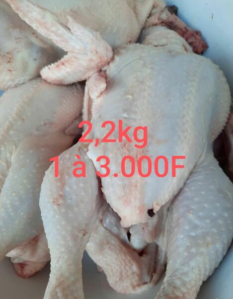Poulet frais Halal 2,2kg