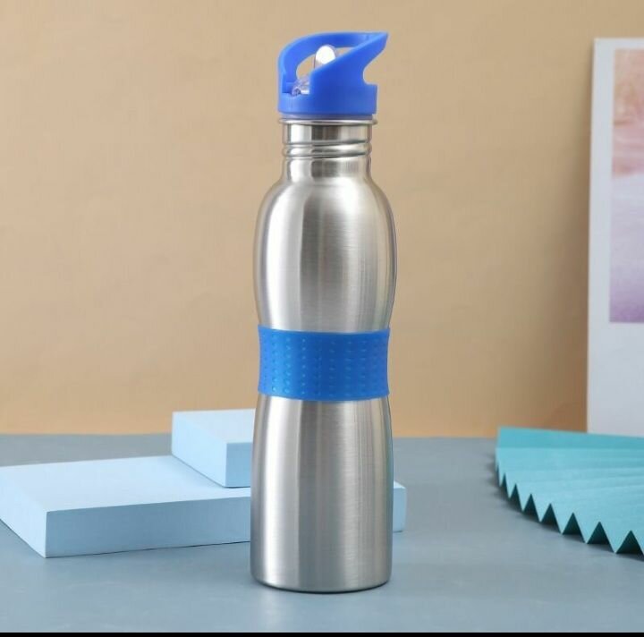 Stainless Steel Water Bottle