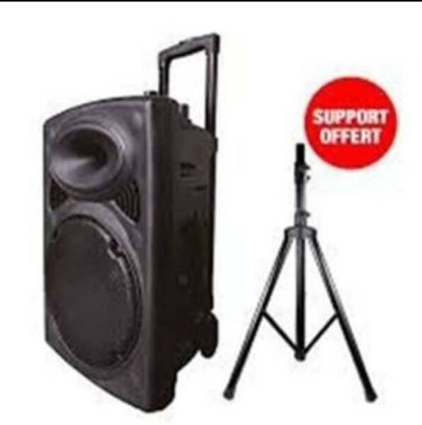 Baffe Amplifié 2 Micro D-15+ 1 pied