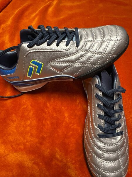 Сороконожки