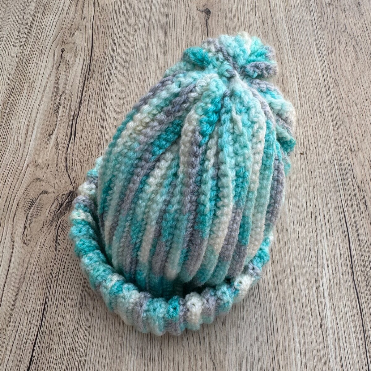 Beanie Crochet Hat
