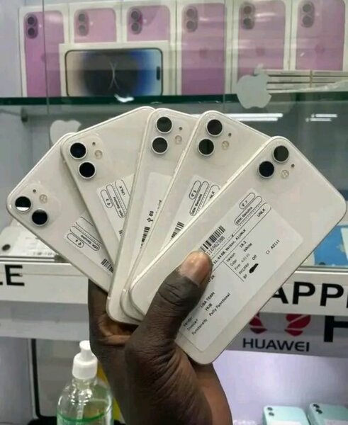 iPhone 11 - Couleur Vibrante