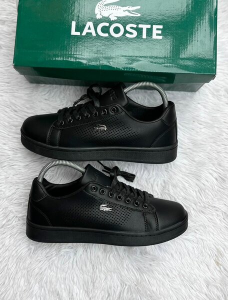 Lacoste Sneakers Classiques