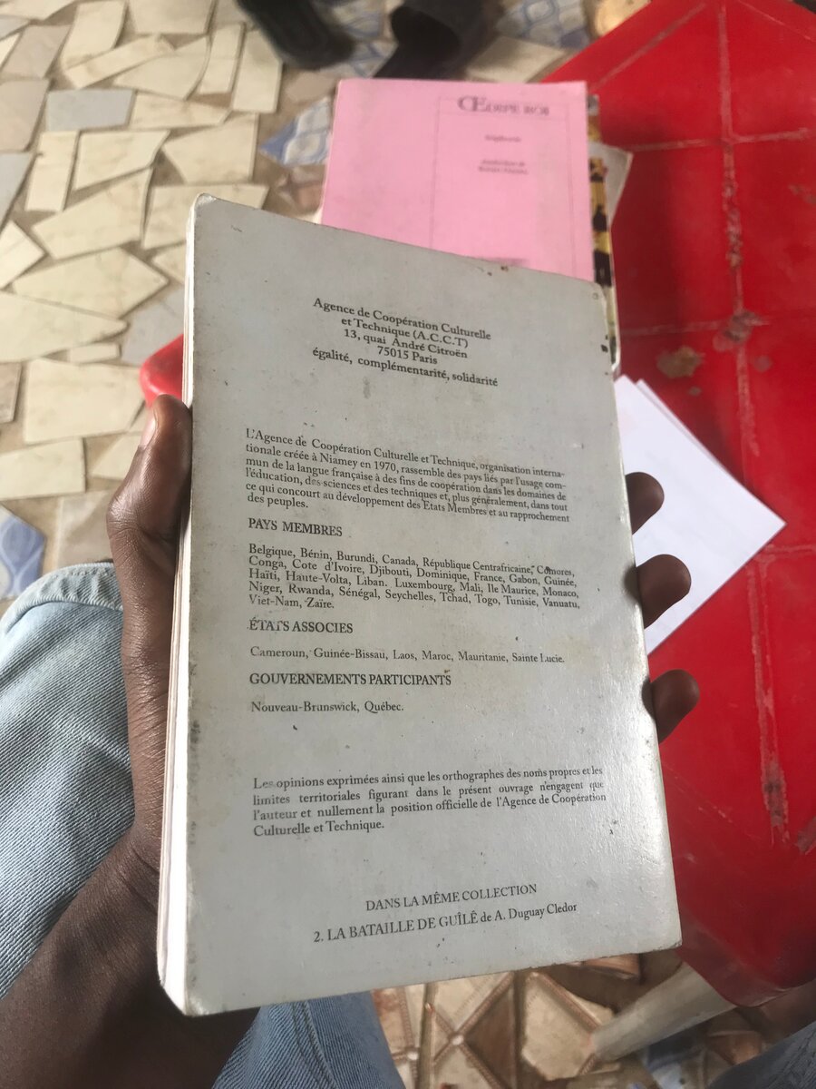 Livre "Force-Bonté" de B. Diallo