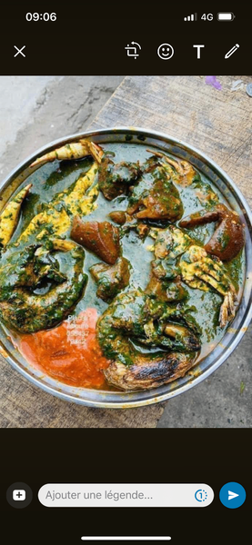 SAUCE KOPAI- PLACALI - CABATO