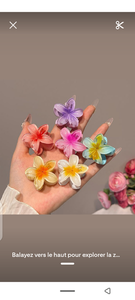 Pinces à cheveux fleurs colorées
