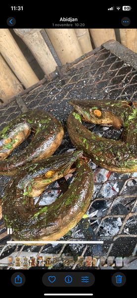 Brochet fume braisé