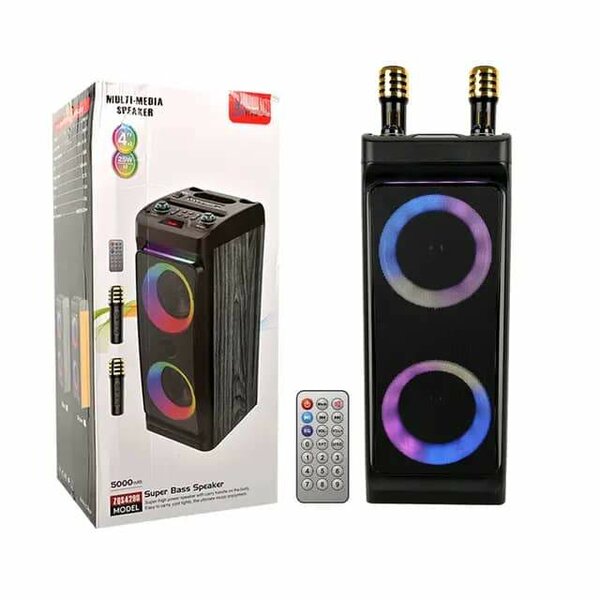 Haut-parleur Bluetooth portable sans fil pour karaoké audio