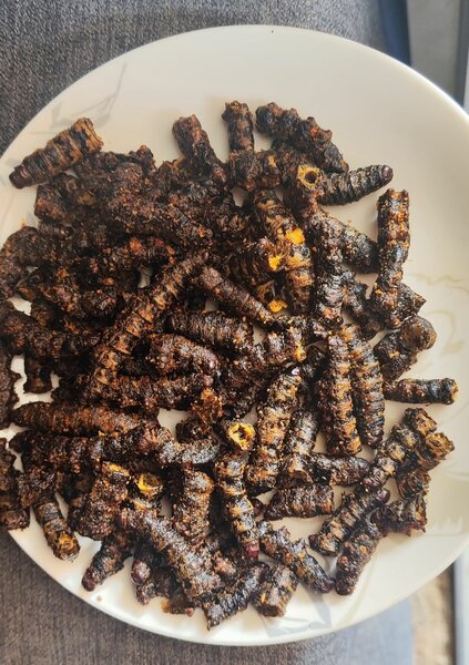 Vers séchés comestibles