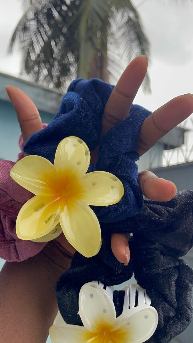 1 Pince en fleur+ 1 chouchou