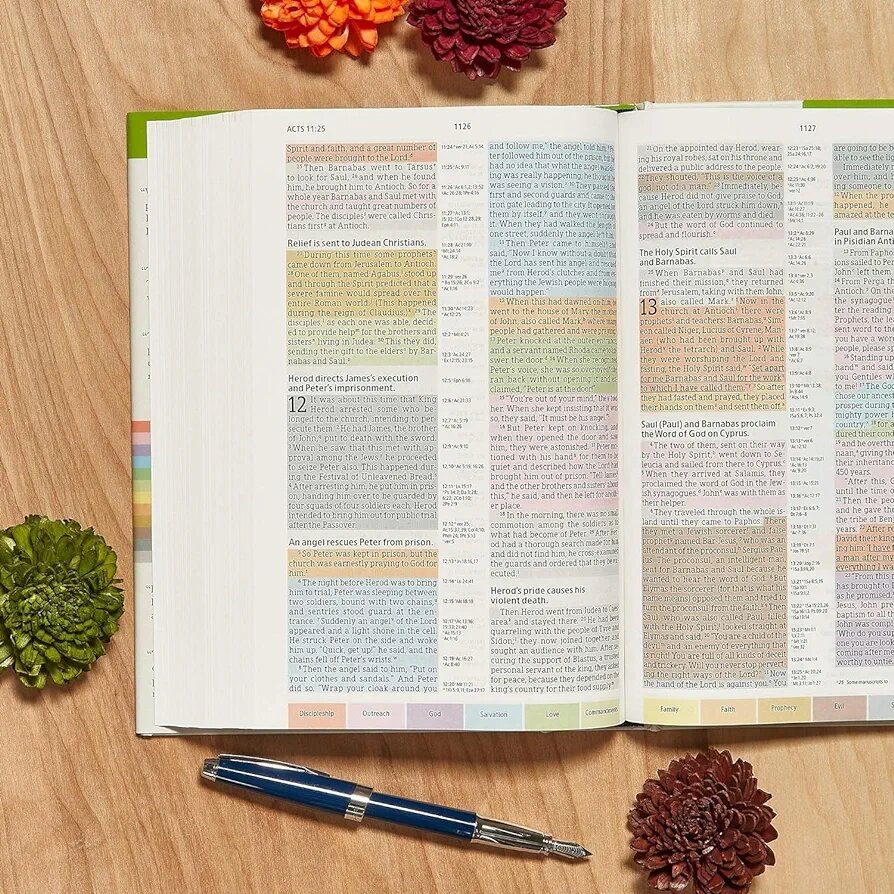 NIV RAINBOW STUDY BIBLE