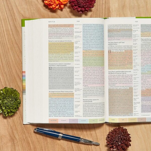 NIV RAINBOW STUDY BIBLE
