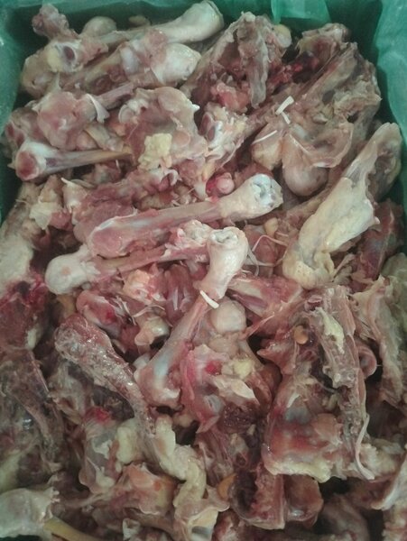 Chicken bones for dogs