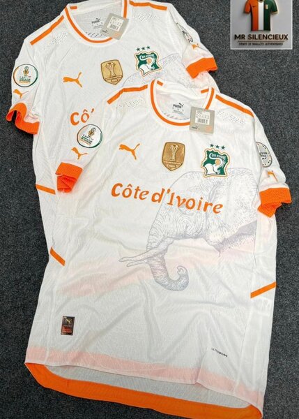 Maillot Côte d'Ivoire Puma
