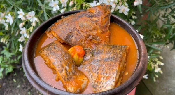 Tilapia épicé en sauce