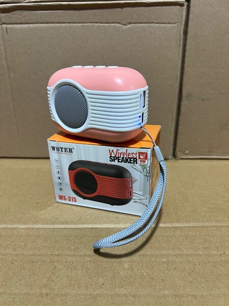 Enceinte Bluetooth WSTER WS-315