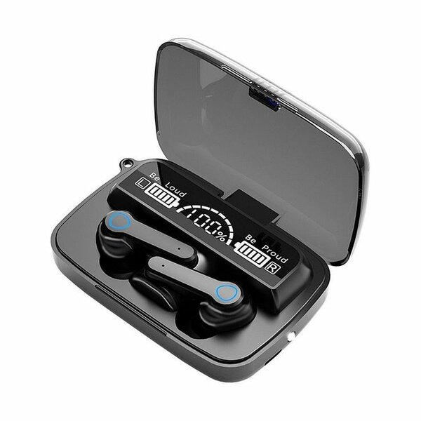 M19 earbuds