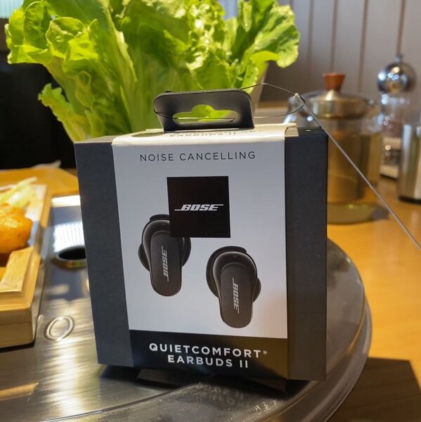 Bose QuietComfort Earbuds II