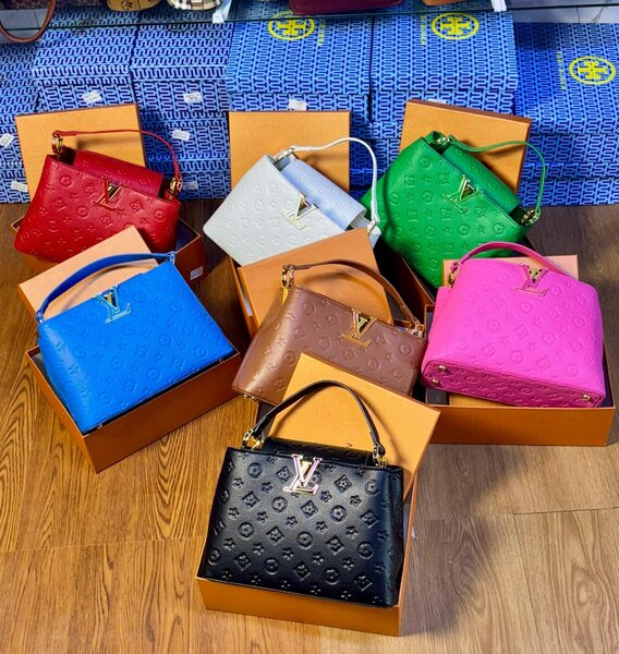 Sac Dame Louis Vuitton