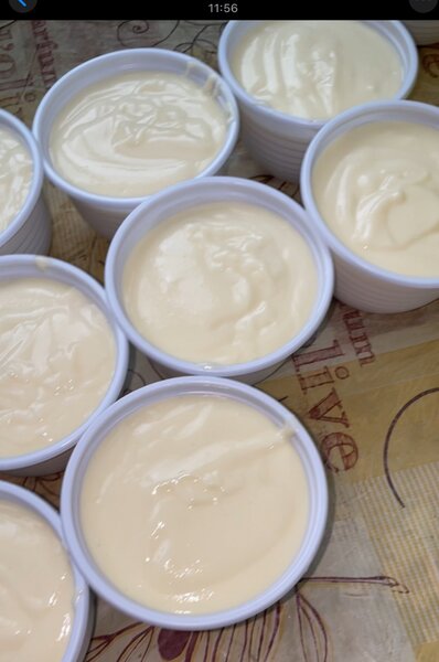 Yaourt crémeux maison