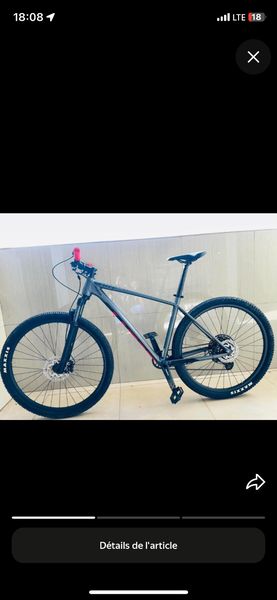 VTT de montagne robuste