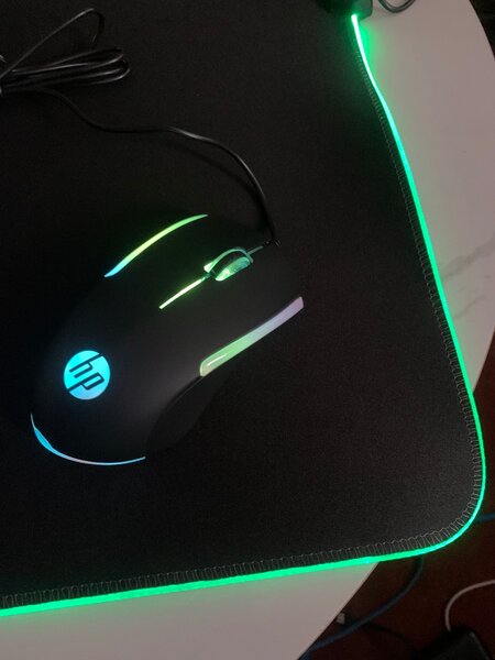 Grand Tapis et Souris Gaming