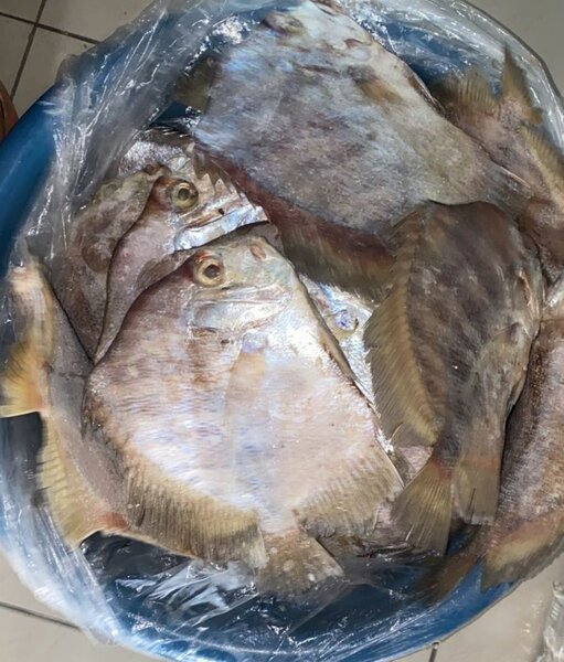 Poisson frais par kilo