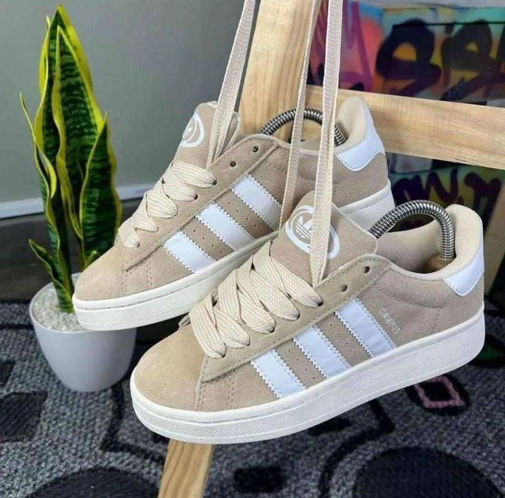 Adidas campus (original dans carton)