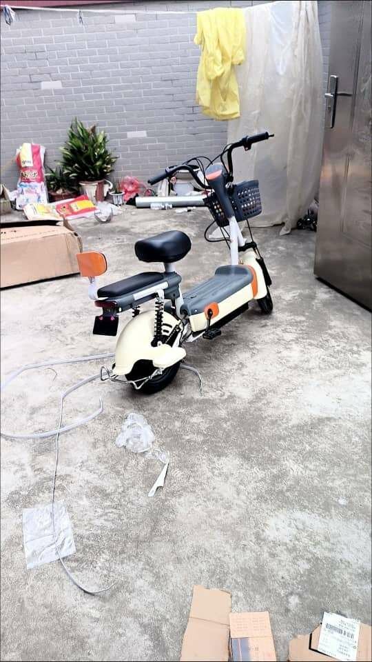 Electric Scooter Bike