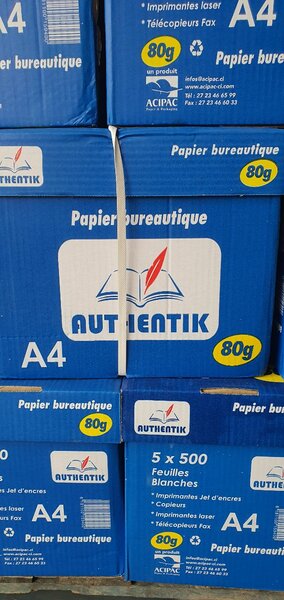 Papier Authentik A4 80g