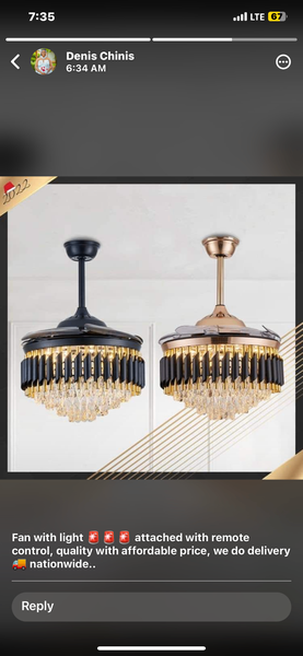 Decorative fan with light