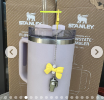 Stanley Cup Accessories