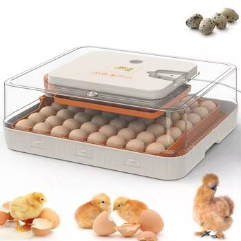 Couveuse automatique 56 œufs