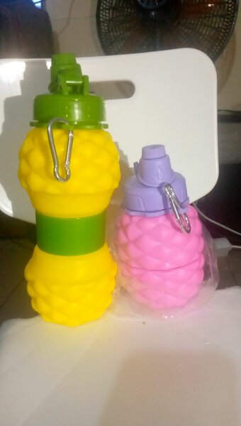 Gourdes Ananas Colorées