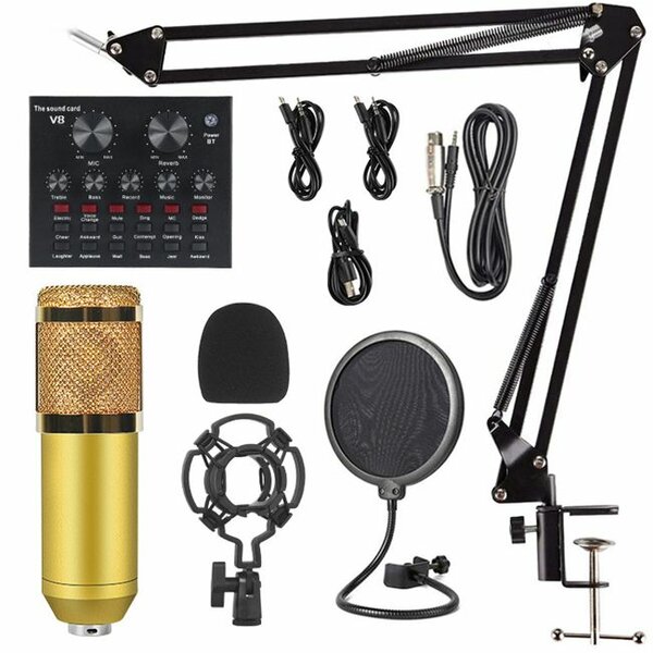 Microphone Kit Professionnel