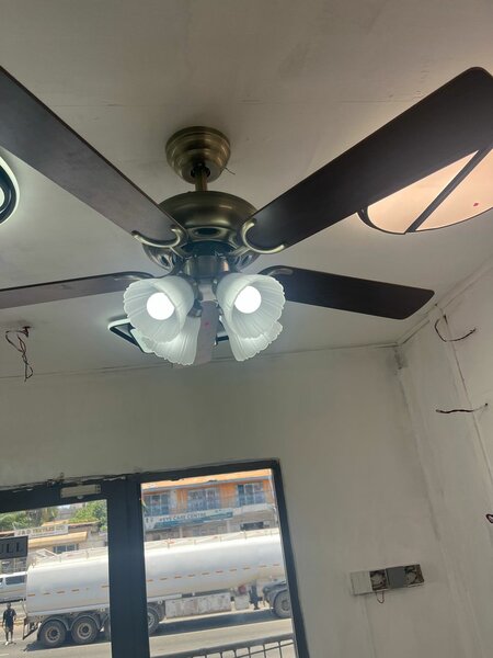 Art Fanlight With Remote