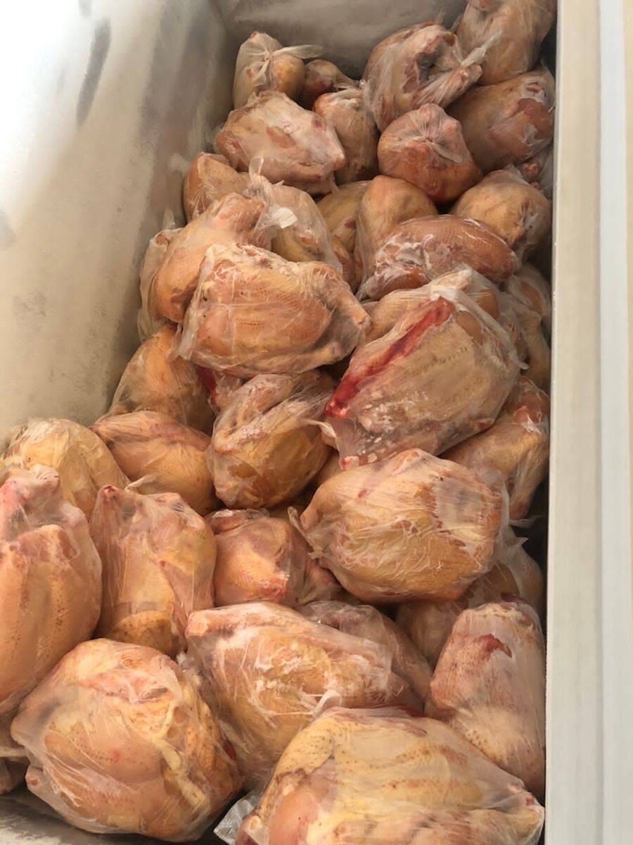 Poulet de chair  entier