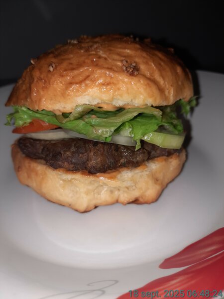 Burger gourmet savoureux